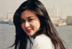 娱乐大爆料关之琳视频,娱乐圈背后的故事与真相