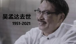 娱乐圈的理智吃瓜群众,揭秘明星幕后真相
