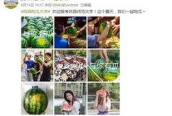 各大高校吃瓜免费网站,免费网站带你一网打尽校园热点