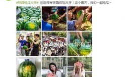 各大高校吃瓜免费网站,免费网站带你一网打尽校园热点