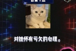 娱乐吃瓜第一季,揭秘娱乐圈幕后风云