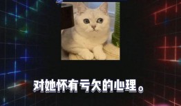 娱乐吃瓜第一季,揭秘娱乐圈幕后风云
