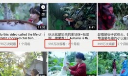 李子柒爆料视频,揭秘她爆红背后的真实世界