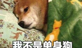 初犬无修在线观看风车,在线观看，感受狂野激情的视觉盛宴