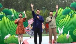 丹麦政府爆料视频最新,重大国际事件背后真相曝光