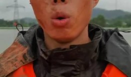 陈阳爆料视频,娱乐圈背后的惊人真相