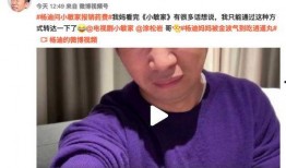 杨迪爆料场面视频,一场爆笑背后的真实瞬间