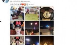 网红迪士尼最新爆料,网红揭秘隐藏版秘密与惊喜