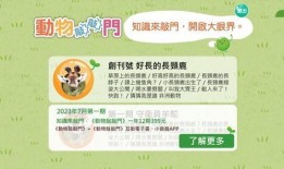 敲敲门 手机在线观看,揭秘神秘事件，探寻真相之旅