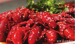 成都小龙虾爆料视频大全,揭秘热门爆料视频大全