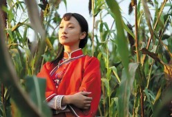 电视红高粱在线观看,重温经典，感受激情岁月