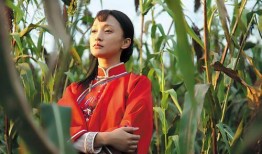 电视红高粱在线观看,重温经典，感受激情岁月