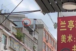 莆田今日爆料电话,揭秘城市热点事件，追踪民生动态”