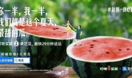 娱乐吃瓜简介文案,吃瓜群众必备的娱乐八卦速览