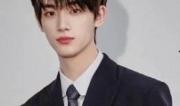 独家爆料丁程鑫视频,丁程鑫幕后视频曝光，精彩瞬间引粉丝热议