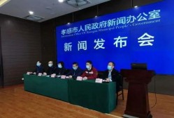 孝感爆料新闻最新,网友热议不已