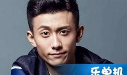 吉利小鲜肉最新爆料,揭秘吉利汽车新动向与未来规划”