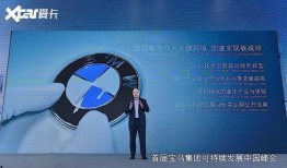 近日重点爆料大宝贝视频,揭秘幕后真相