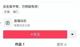 大曲线直播爆料最新消息,揭秘行业动态，洞察未来趋势