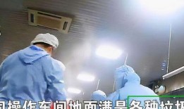 天津配餐公司爆料视频,揭秘行业黑幕与食品安全问题