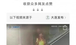 大连新闻爆料人是谁啊视频,视频背后的故事