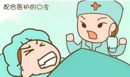 近日重点爆料大宝贝视频,揭秘幕后真相