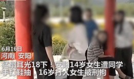 河南都市爆料最新耿女士,耿女士事件最新进展揭秘