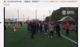 广州增城爆料事件最新,真相追踪与公众关注焦点