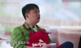 赵宝刚最新爆料,揭秘影视圈幕后真相与行业变革