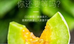 网红瓜都是谁吃的图片高清,高清图片大揭秘