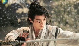 雪鹰 电视剧在线观看,探寻雪域高原的传奇故事