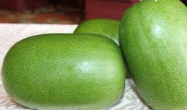 吃瓜占卜算卦免费版,免费版吃瓜占卜算卦，开启神秘预知之旅