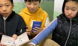 最新爆料开封小学生,揭开校园奇闻之谜