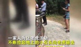 网友爆料游人扔石头视频,文明旅游何去何从？