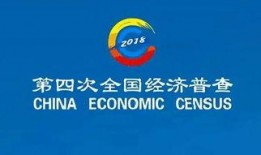 宁波新闻媒体爆料电话,揭秘背后真相