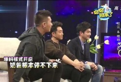 郑恺兄弟爆料视频,娱乐圈背后的真实故事