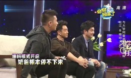 郑恺兄弟爆料视频,娱乐圈背后的真实故事