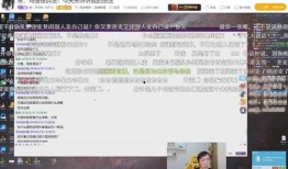 莎莉爆料老东家视频播放,视频播放背后的惊人真相