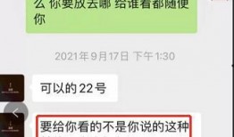 网红前任爆料视频大全集,真相与情感纠葛全记录