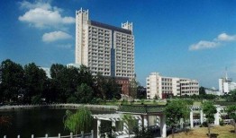 近日重点爆料大宝贝视频,揭秘幕后真相