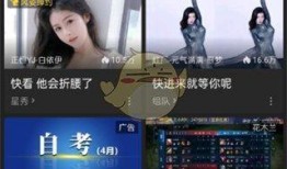 12点半爆料直播回放视频,精彩瞬间回顾与深度解析
