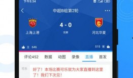 王海鸥爆料视频播放下载,独家播放下载解析