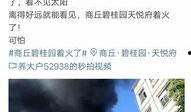 商丘新鲜爆料案件最新,最新案件细节曝光，疑云重重引关注
