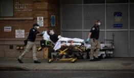 科学家爆料新冠病毒视频,科学家最新爆料视频深度解析