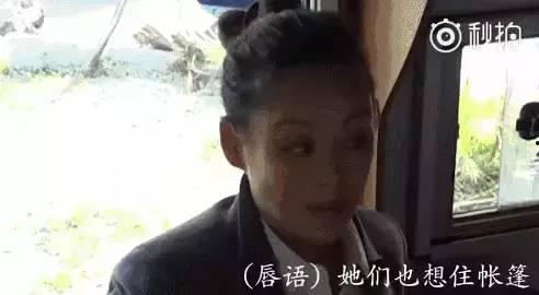 吃瓜群众看娱乐圈,吃瓜群众视角下的明星八卦